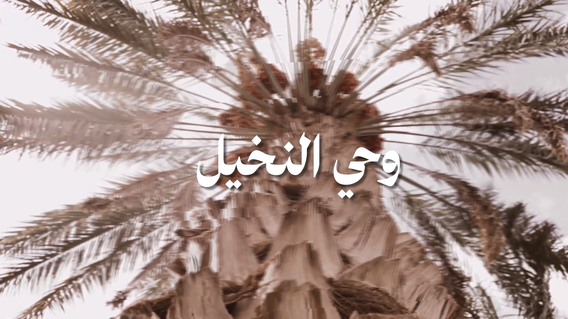وحي النخيل